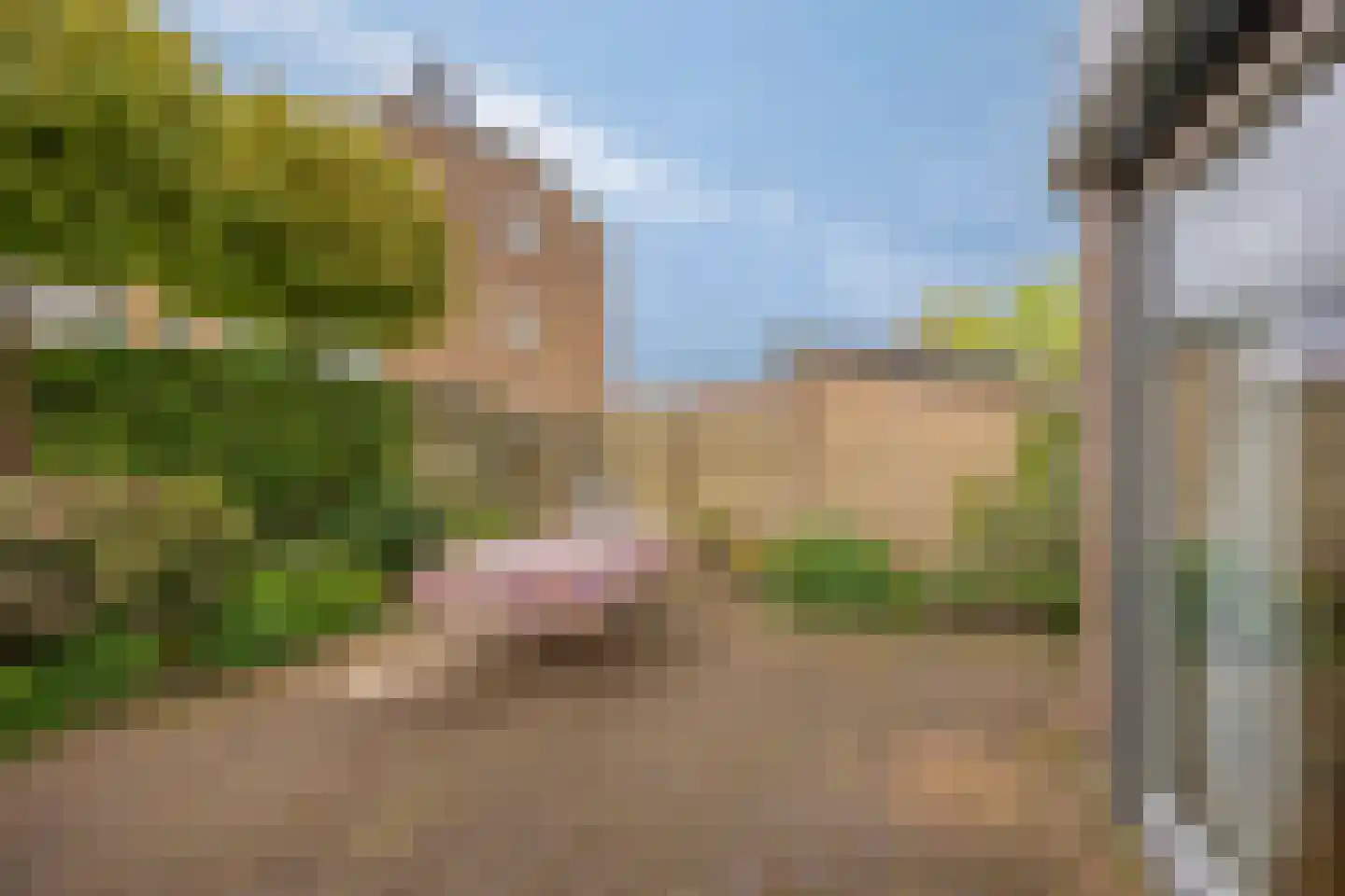 Sportlaan 48 Hillegom thumbnail 29