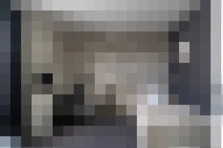 Sportlaan 48 Werkendam thumbnail 23