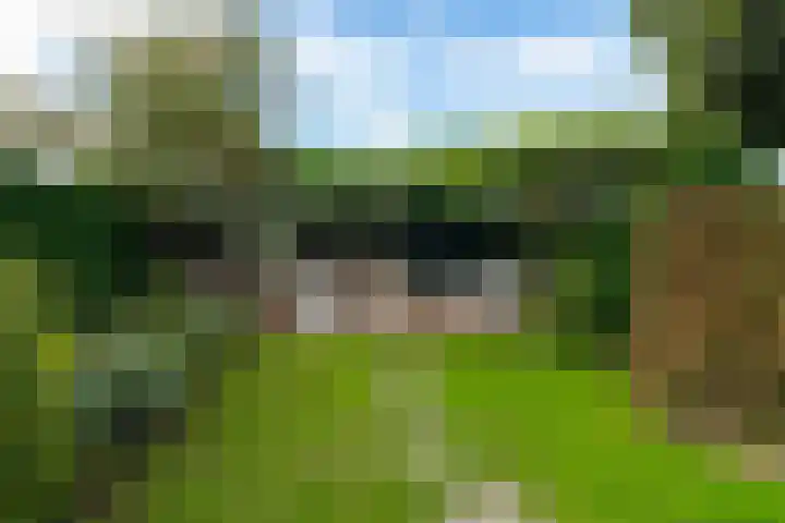 Sportlaan 48 Werkendam thumbnail 38