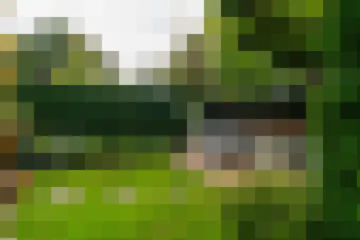Sportlaan 48 Werkendam thumbnail 39