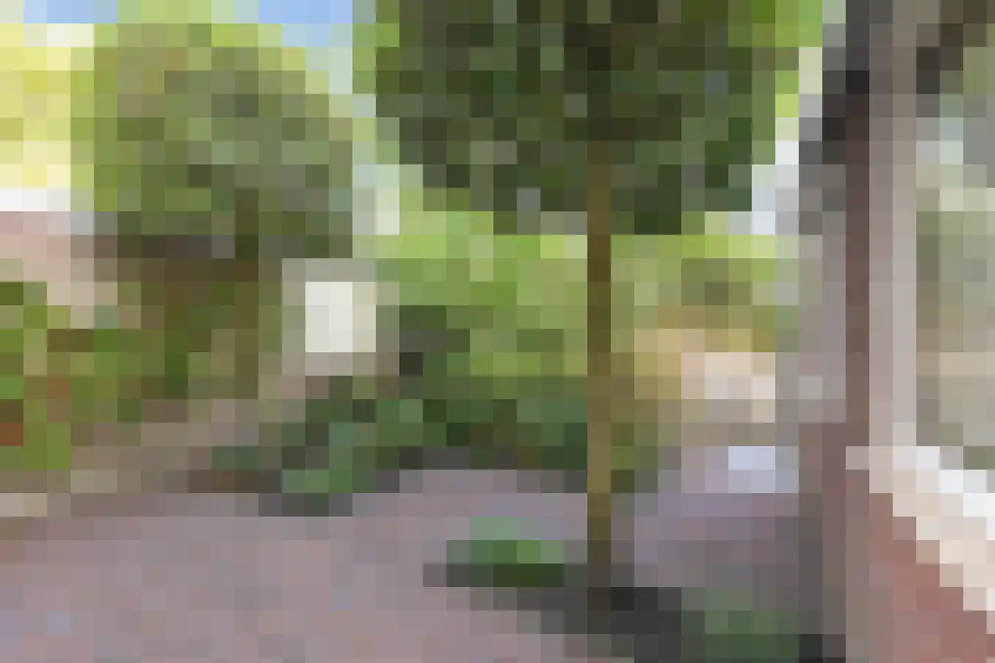 Sportlaan 49 Den Haag thumbnail 42