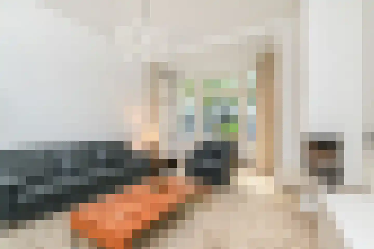 Sportlaan 49 Den Haag thumbnail 7
