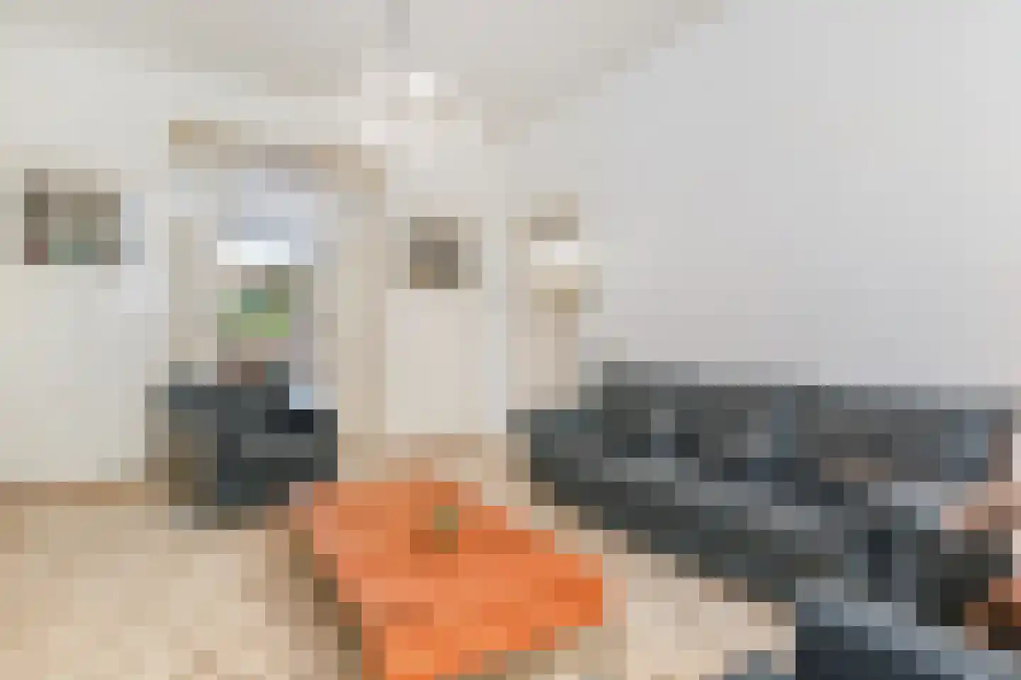 Sportlaan 49 Den Haag thumbnail 9