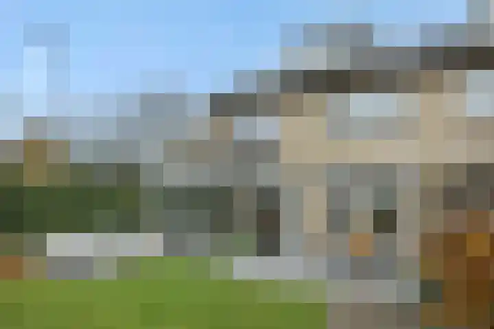 Sportlaan 49 Rosmalen thumbnail 33