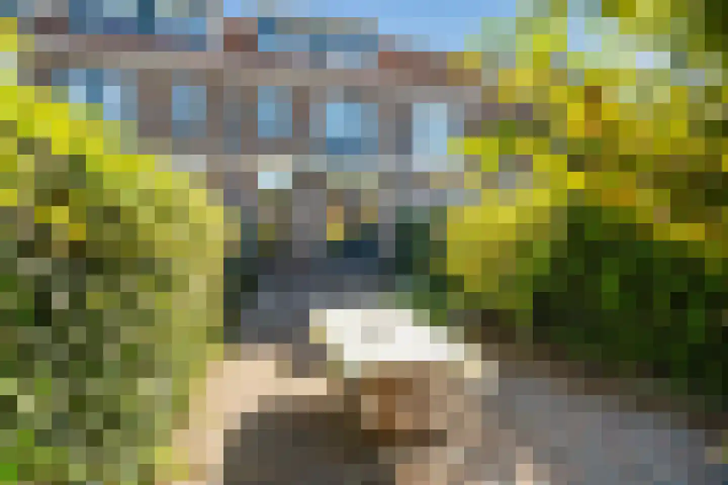 Sportlaan 5 Gouda thumbnail 4