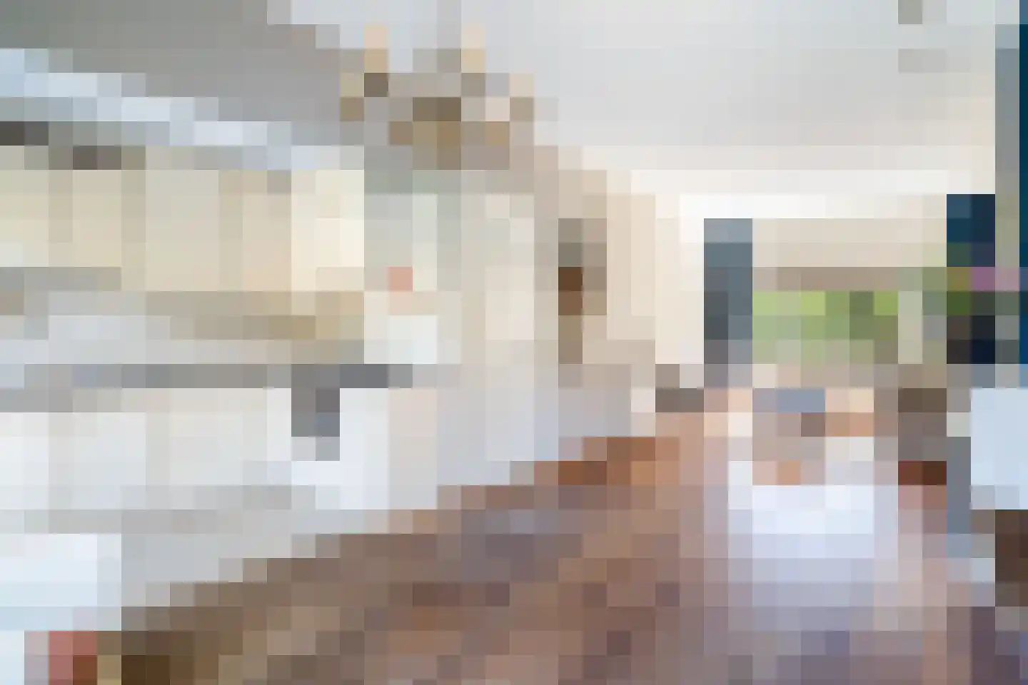 Sportlaan 5 Gouda thumbnail 8