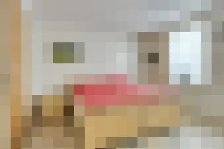 Sportlaan 5 Wolvega thumbnail 12
