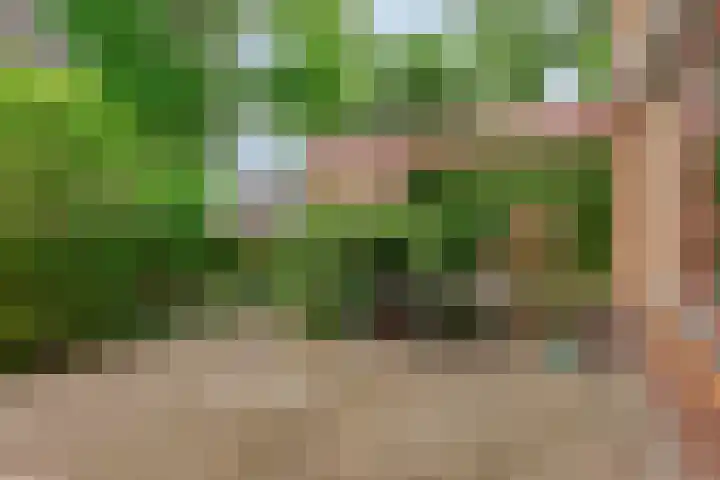 Sportlaan 5 Wolvega thumbnail 32