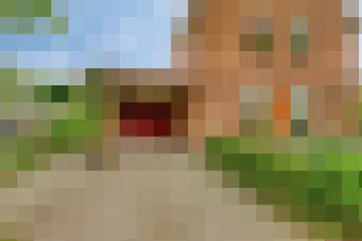 Sportlaan 5 Wolvega thumbnail 33