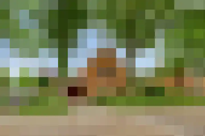 Sportlaan 5 Wolvega thumbnail 35