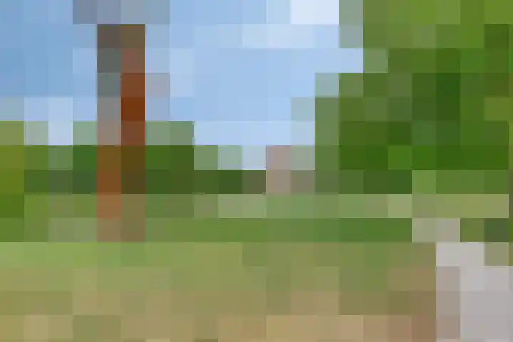 Sportlaan 5 Wolvega thumbnail 36