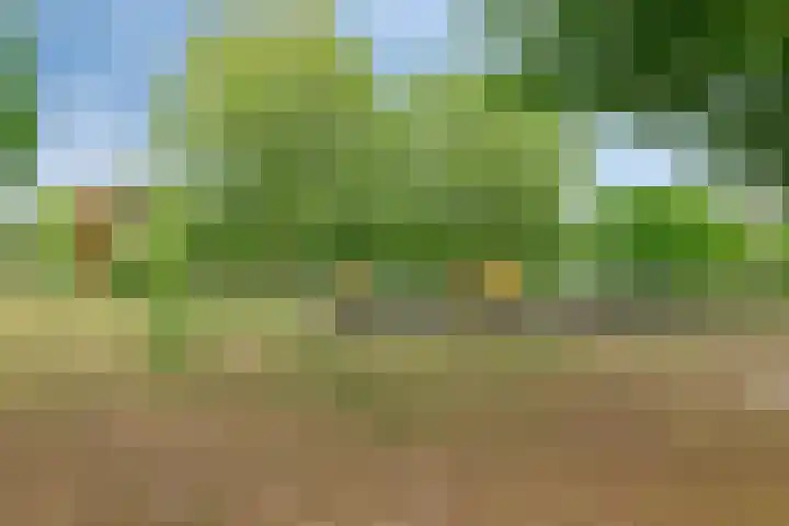 Sportlaan 5 Wolvega thumbnail 37