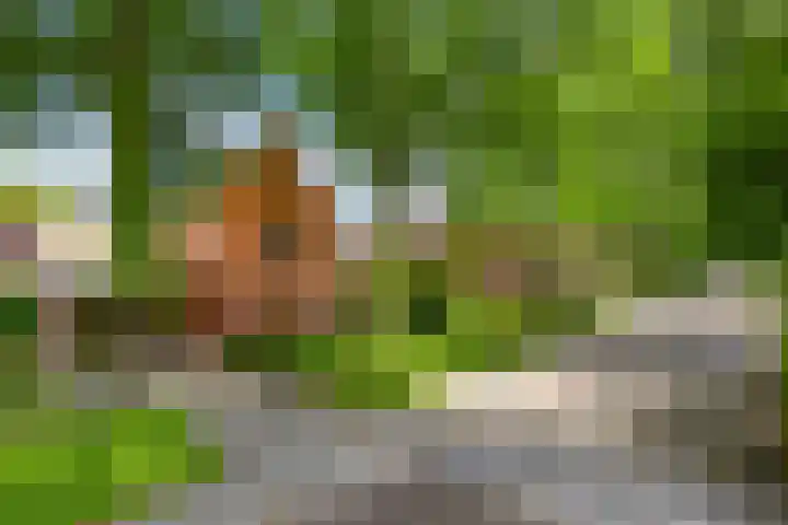 Sportlaan 5 Wolvega thumbnail 38