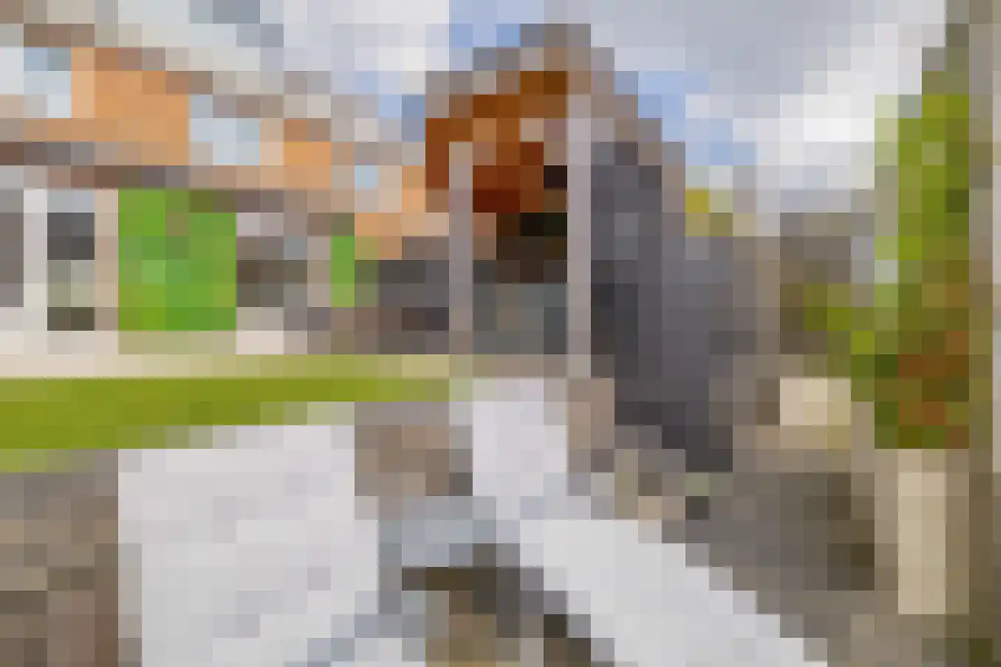 Sportlaan 50 Lisse thumbnail 29