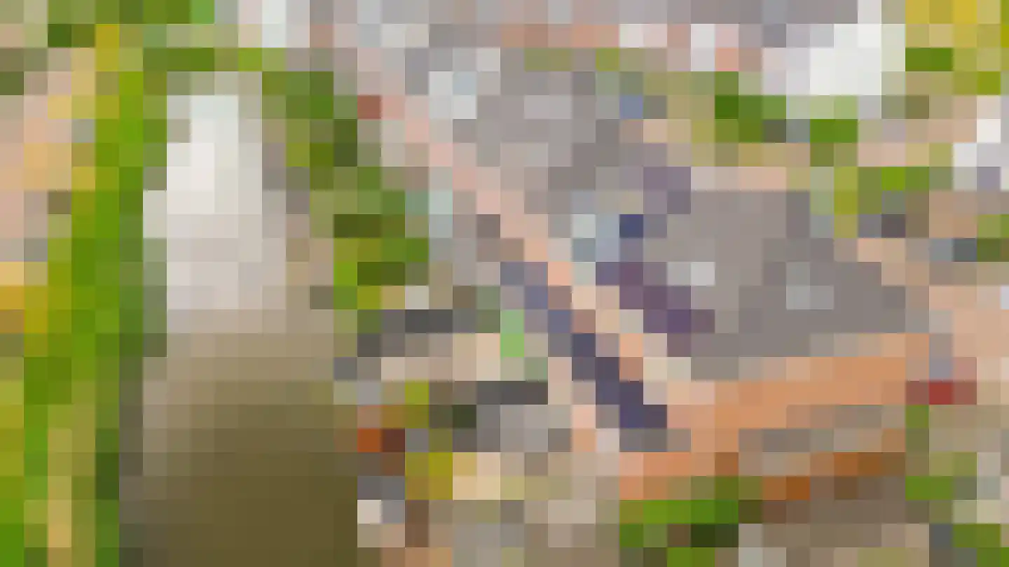 Sportlaan 50 Lisse thumbnail 62