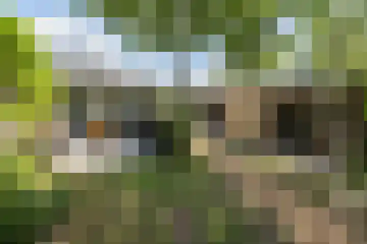 Sportlaan 53 Driebergen-Rijsenburg thumbnail 34