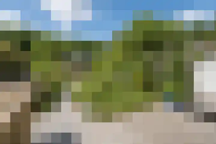 Sportlaan 53 Driebergen-Rijsenburg thumbnail 35