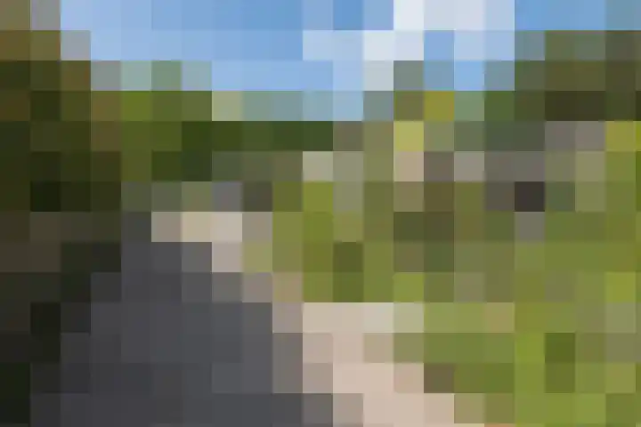 Sportlaan 53 Driebergen-Rijsenburg thumbnail 36