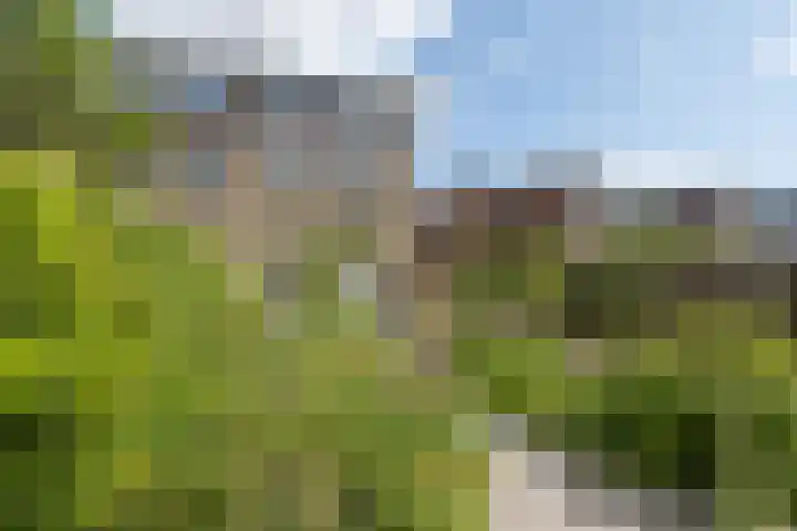 Sportlaan 53 Driebergen-Rijsenburg thumbnail 37