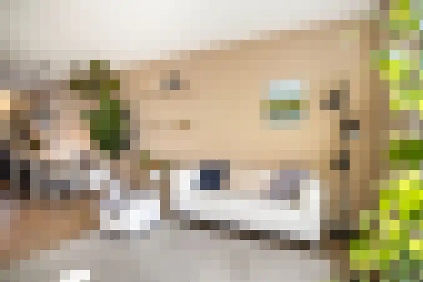 Sportlaan 55 Ede thumbnail 8