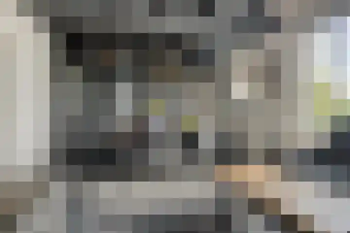 Sportlaan 6 Geervliet thumbnail 10