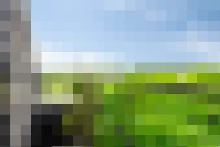 Sportlaan 6 Geervliet thumbnail 32