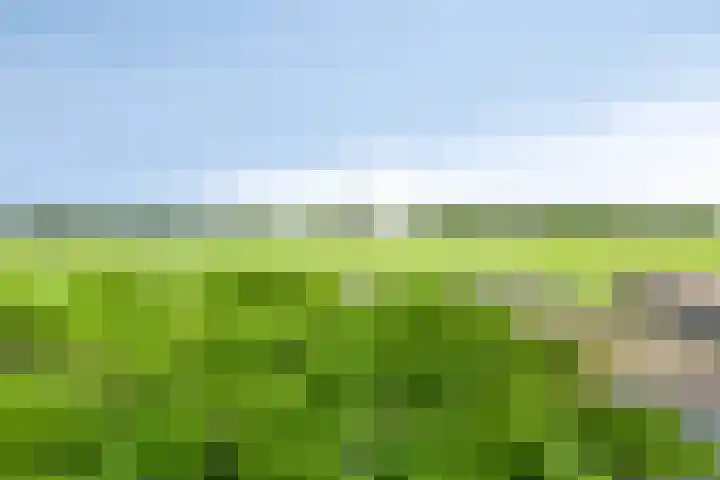 Sportlaan 6 Geervliet thumbnail 33
