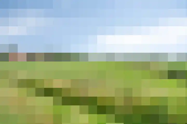 Sportlaan 6 Geervliet thumbnail 34