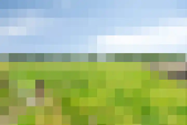 Sportlaan 6 Geervliet thumbnail 35