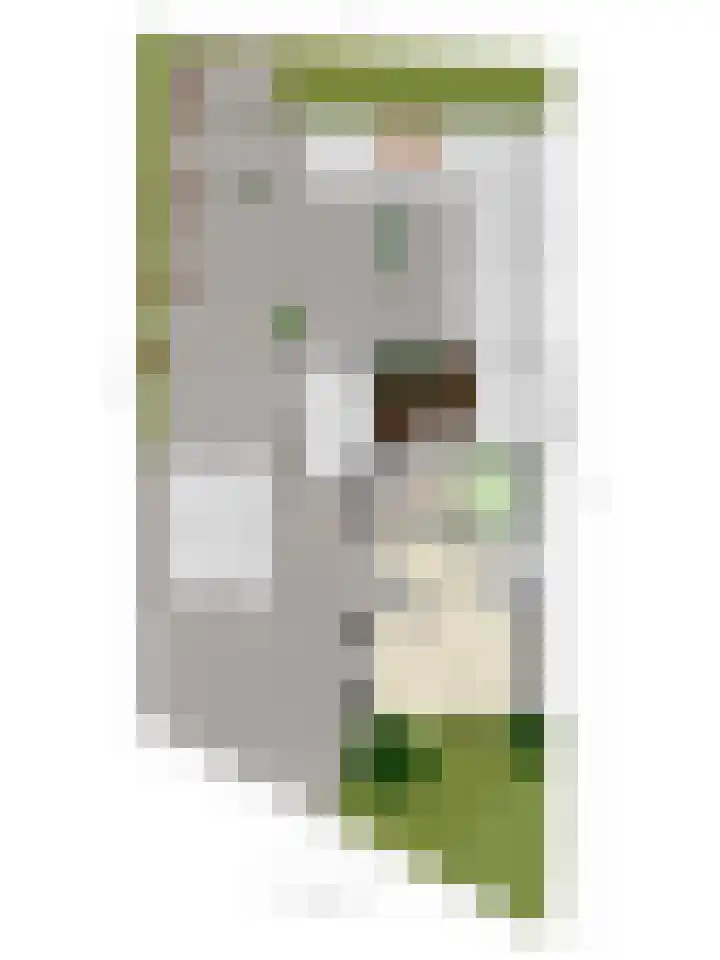 Sportlaan 6 Geervliet thumbnail 37