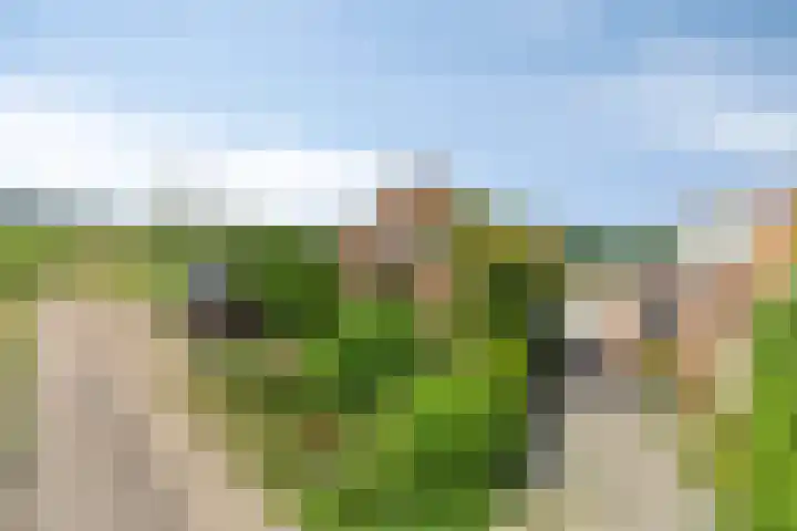 Sportlaan 6 Geervliet thumbnail 5