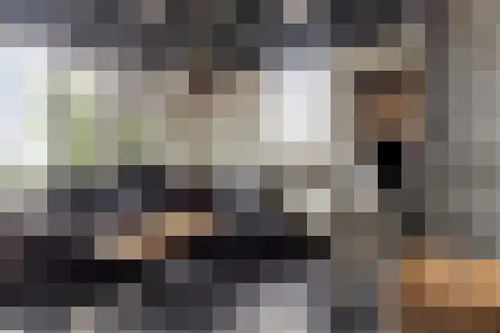 Sportlaan 6 Geervliet thumbnail 8