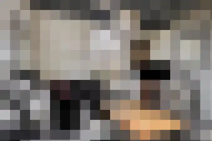 Sportlaan 6 Geervliet thumbnail 9
