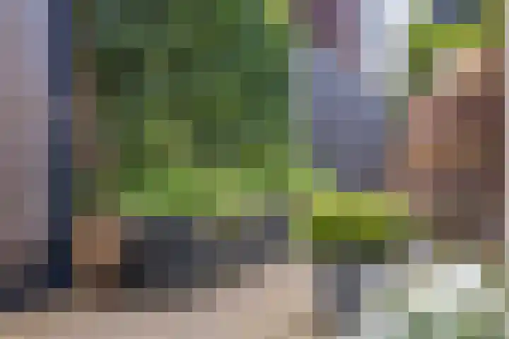 Sportlaan 6 Hasselt thumbnail 19