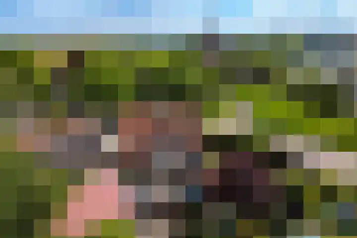 Sportlaan 6 Hasselt thumbnail 4