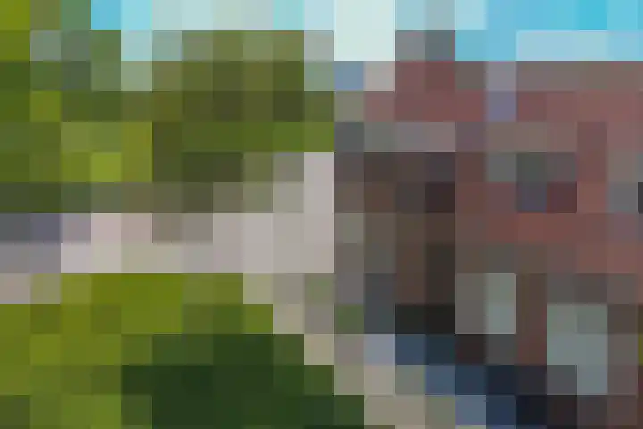 Sportlaan 6 Hasselt thumbnail 5