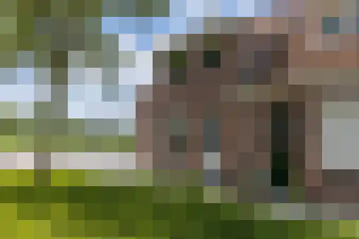 Sportlaan 6 Hasselt thumbnail 7