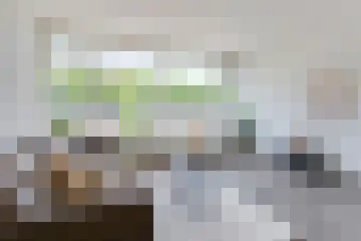 Sportlaan 6 't Harde thumbnail 17