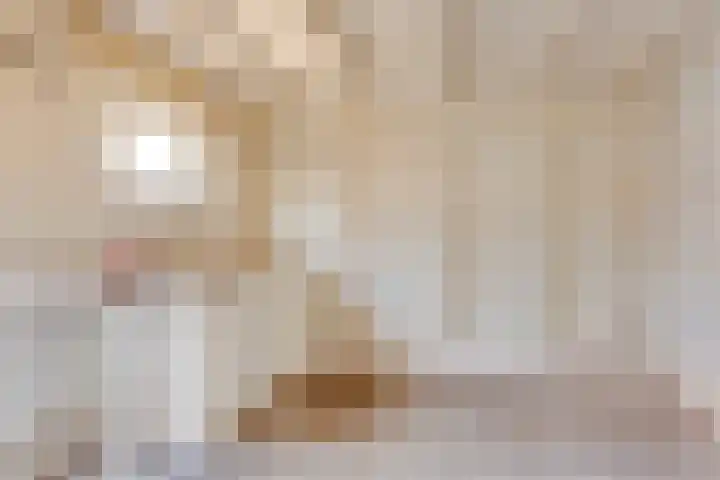 Sportlaan 6 't Harde thumbnail 39
