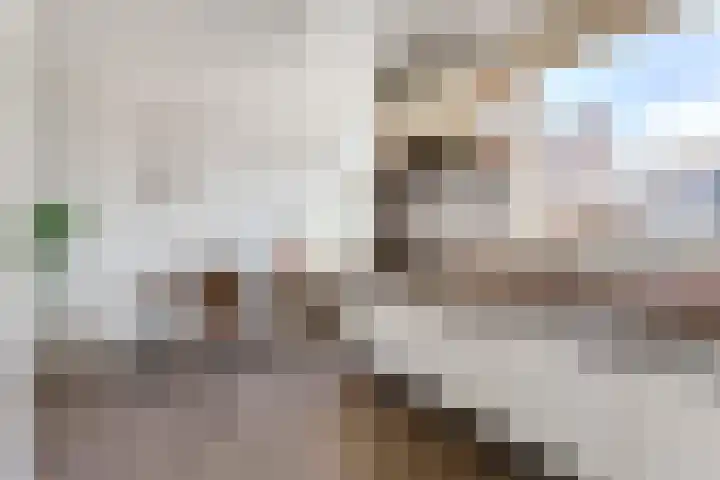 Sportlaan 6 't Harde thumbnail 5
