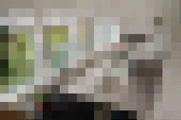Sportlaan 62 D Den Helder thumbnail 35