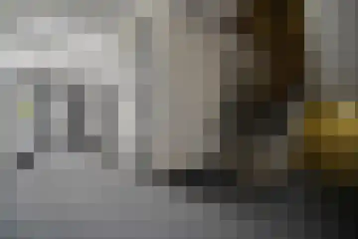 Sportlaan 62 D Den Helder thumbnail 6