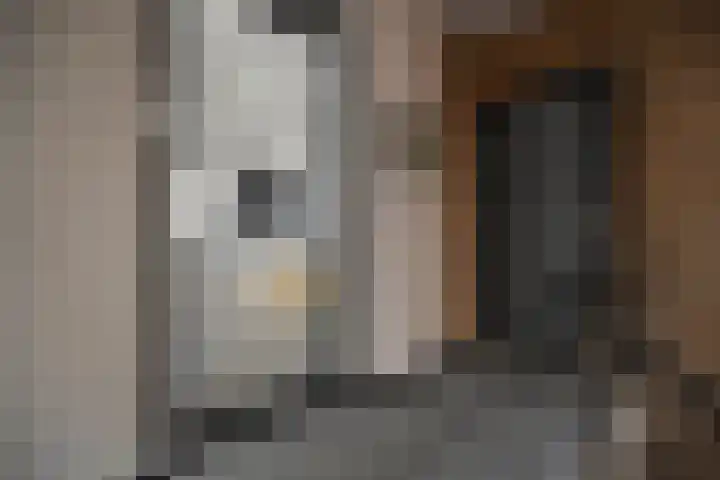 Sportlaan 62 D Den Helder thumbnail 8