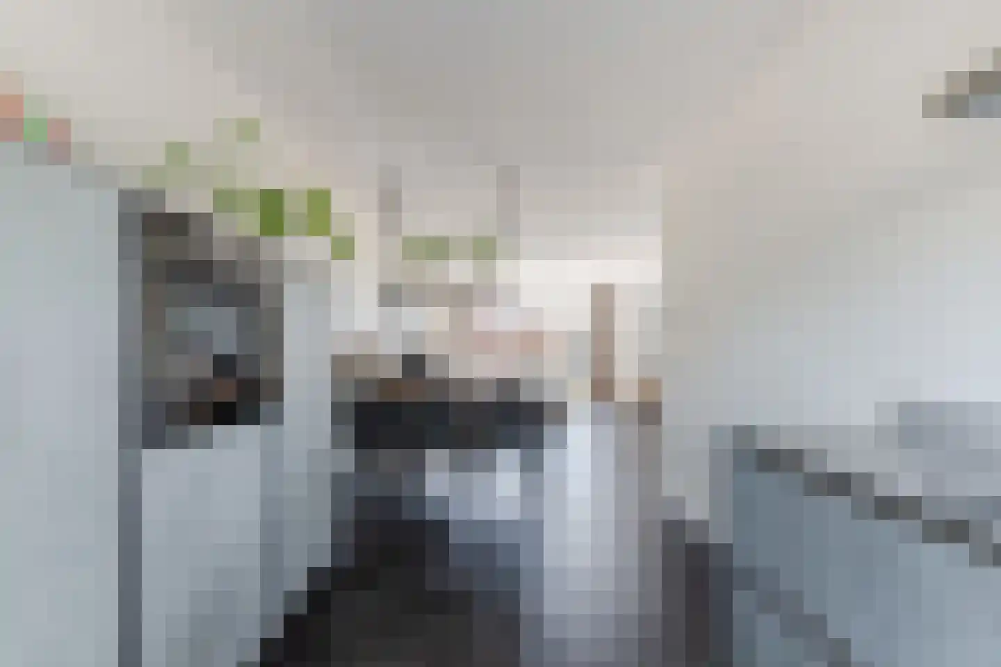 Sportlaan 64 Almkerk thumbnail 23