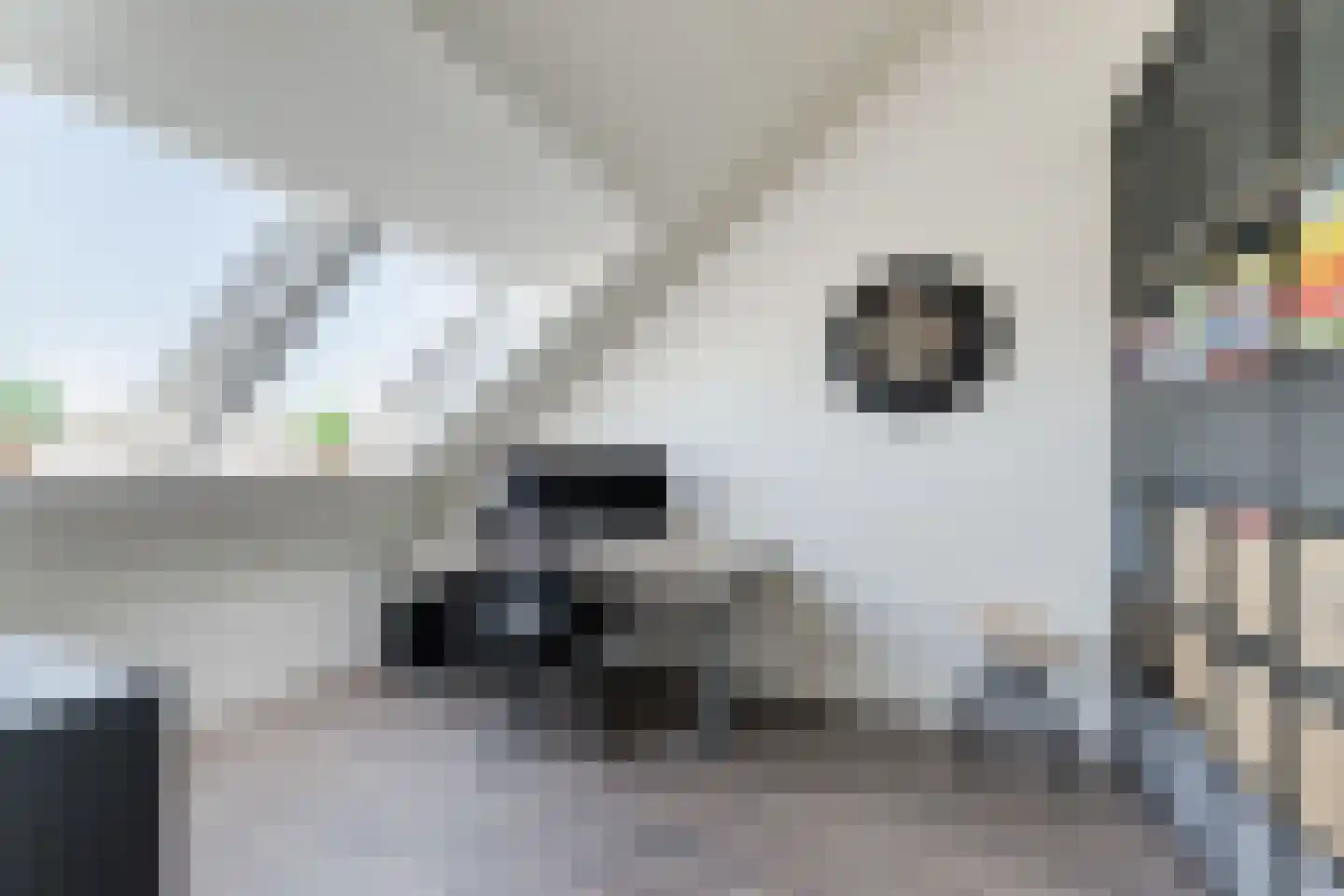 Sportlaan 64 Almkerk thumbnail 43