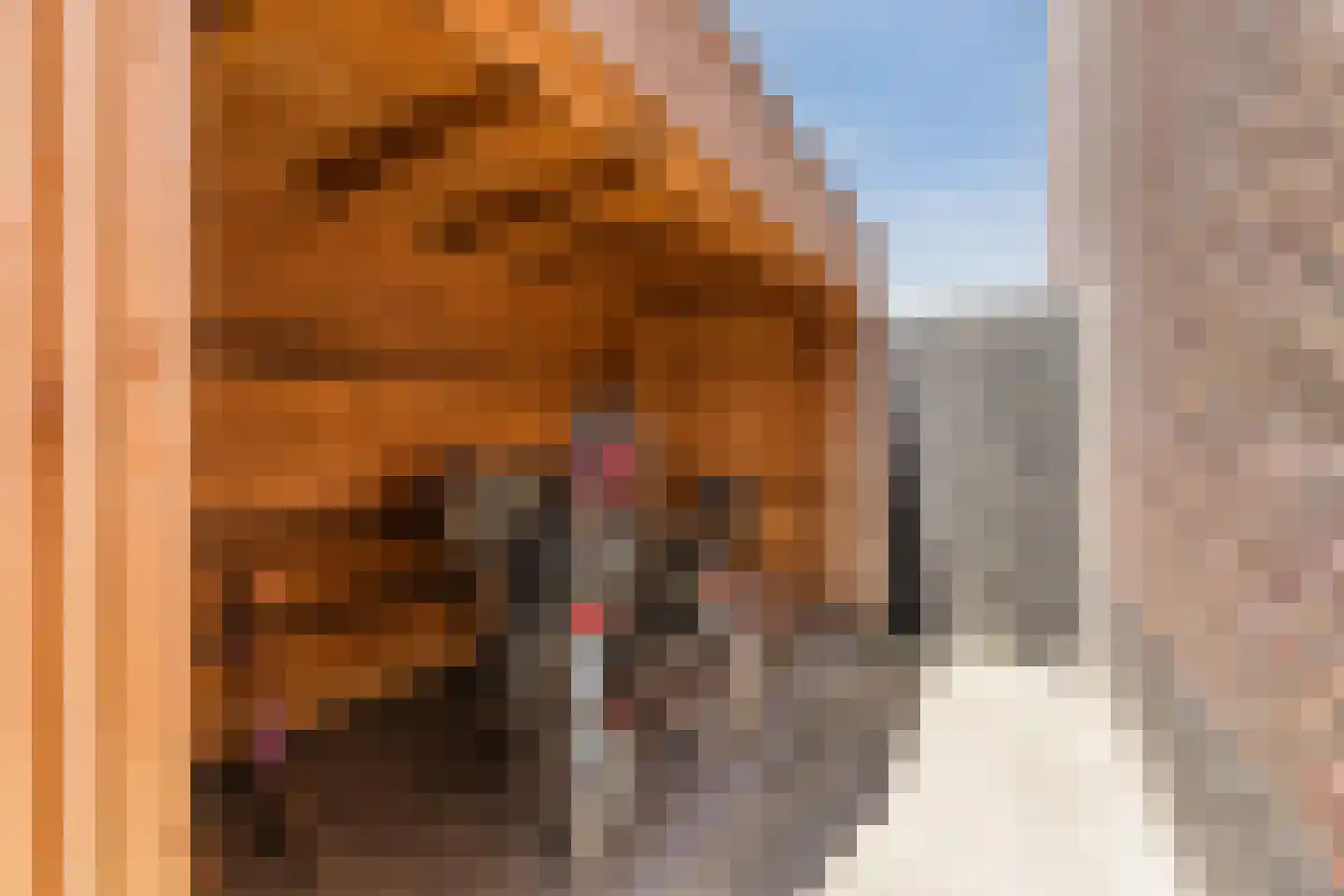 Sportlaan 64 Almkerk thumbnail 56