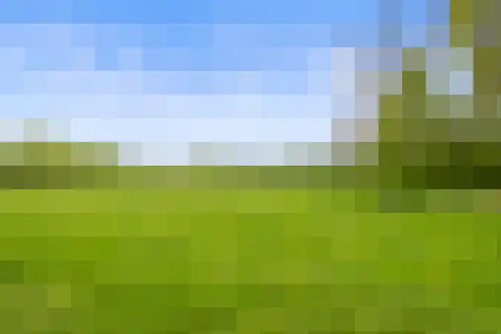 Sportlaan 64 Den Helder thumbnail 4
