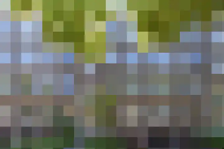Sportlaan 640 Den Haag thumbnail 5