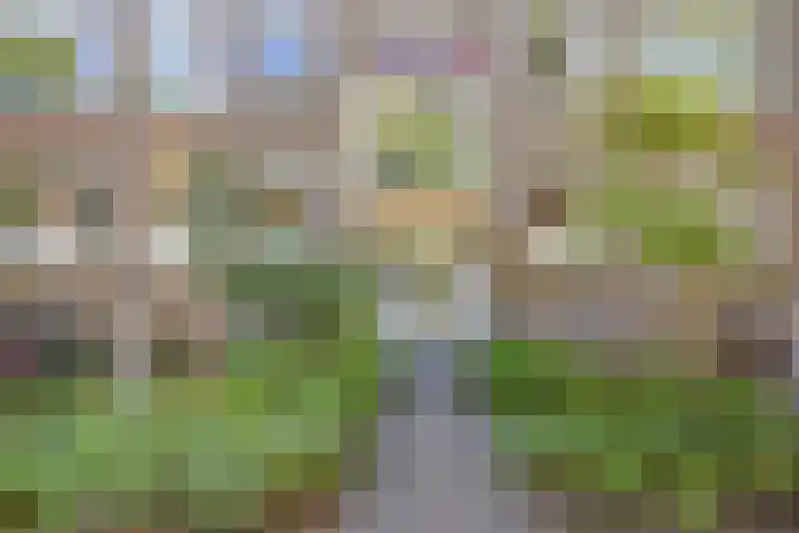 Sportlaan 640 Den Haag thumbnail 6