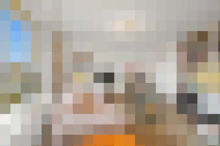 Sportlaan 662 Den Haag thumbnail 8